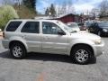 Gold Ash Metallic - Escape Limited 4WD Photo No. 4