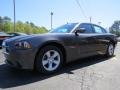 2014 Granite Crystal Metallic Dodge Charger SE  photo #3