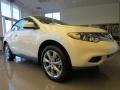 2014 Pearl White Nissan Murano CrossCabriolet AWD  photo #6