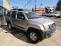 Silver Lightning Metallic - Xterra SE 4x4 Photo No. 3