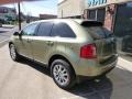 2013 Ginger Ale Metallic Ford Edge Limited AWD  photo #6