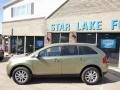 2013 Ginger Ale Metallic Ford Edge Limited AWD  photo #7
