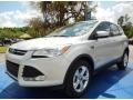 2014 Ingot Silver Ford Escape SE 1.6L EcoBoost  photo #13