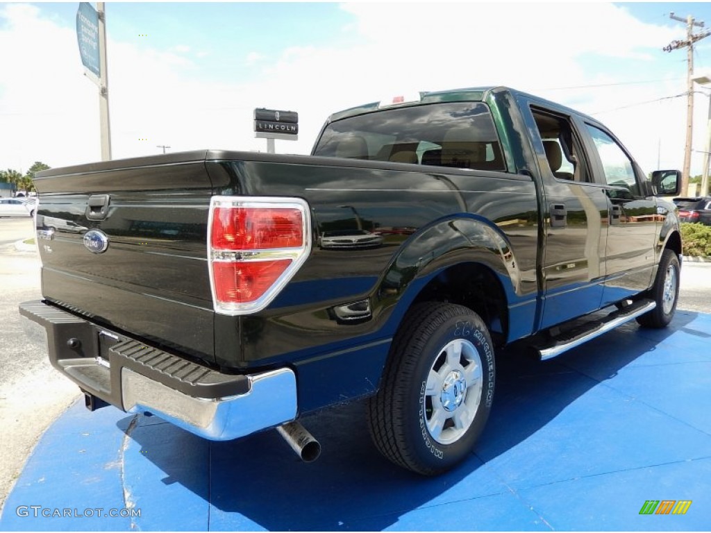 2014 F150 XLT SuperCrew - Green Gem / Pale Adobe photo #3