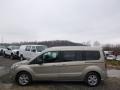 Burnished Glow - Transit Connect XLT Wagon Photo No. 5