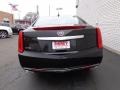 Black Raven - XTS Luxury FWD Photo No. 5