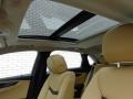 Black Raven - XTS Luxury FWD Photo No. 15