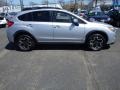 2014 Ice Silver Metallic Subaru XV Crosstrek 2.0i Premium  photo #4