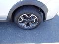 2014 Ice Silver Metallic Subaru XV Crosstrek 2.0i Premium  photo #5