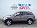 2010 Urban Titanium Metallic Honda CR-V EX-L AWD  photo #6