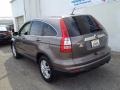 2010 Urban Titanium Metallic Honda CR-V EX-L AWD  photo #8