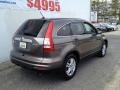2010 Urban Titanium Metallic Honda CR-V EX-L AWD  photo #23