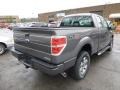 Sterling Grey - F150 STX SuperCab 4x4 Photo No. 2