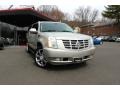Quicksilver 2007 Cadillac Escalade ESV AWD