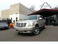 Quicksilver - Escalade ESV AWD Photo No. 3
