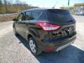 2013 Kodiak Brown Metallic Ford Escape SE 1.6L EcoBoost 4WD  photo #5