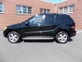 Black - ML 350 4Matic Photo No. 2