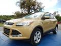 2014 Karat Gold Ford Escape SE 2.0L EcoBoost  photo #1