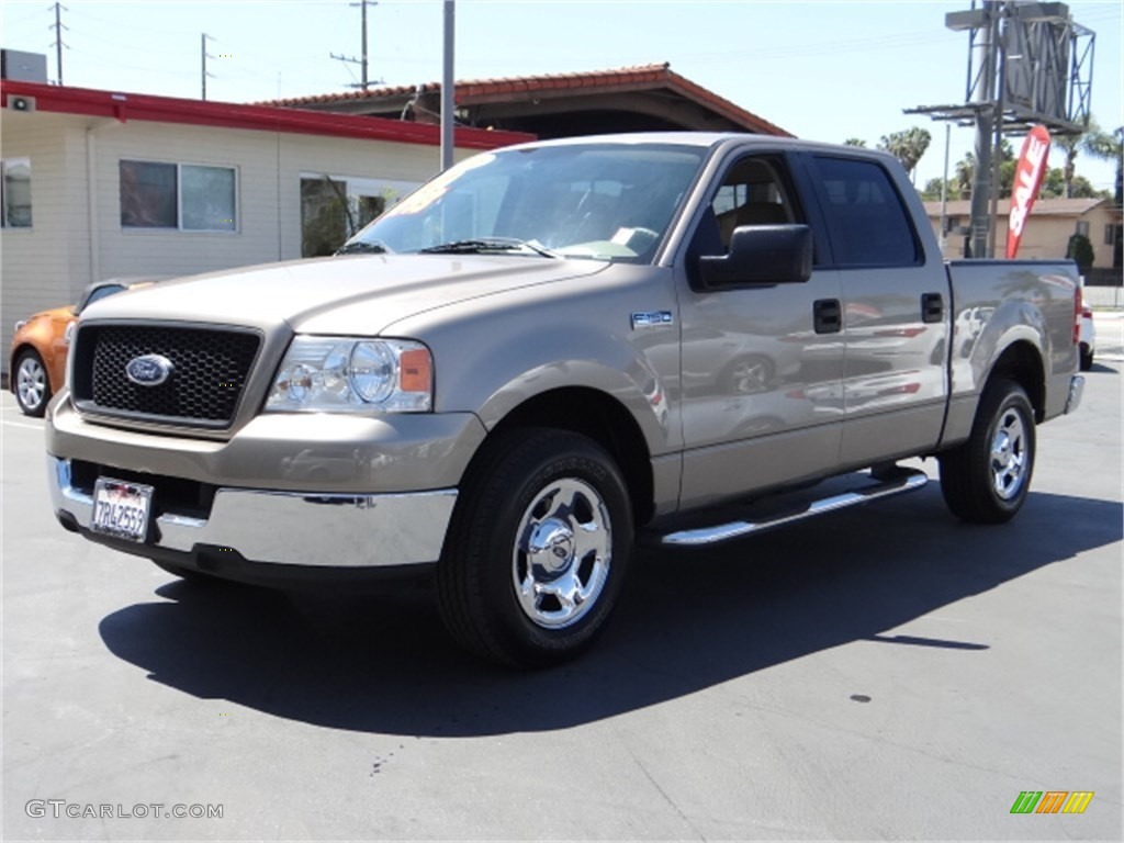 2005 F150 XLT SuperCrew - Arizona Beige Metallic / Castano Brown Leather photo #6