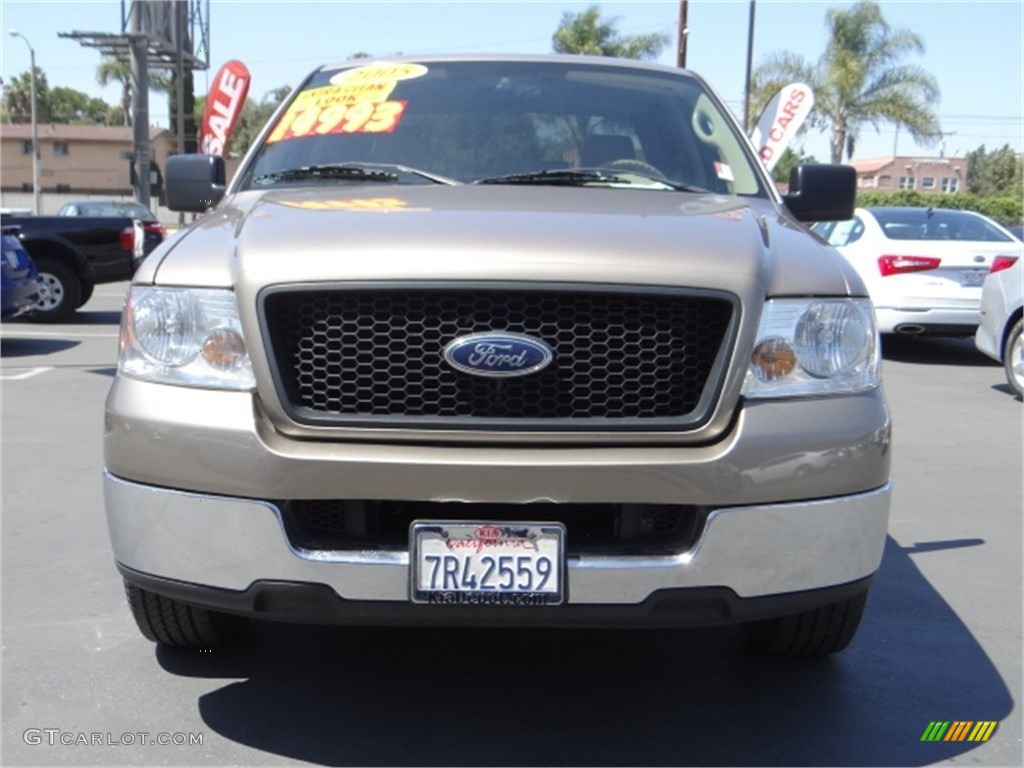 2005 F150 XLT SuperCrew - Arizona Beige Metallic / Castano Brown Leather photo #7