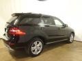 Black - ML 350 4Matic Photo No. 20