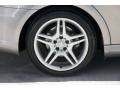 Pewter Metallic - CLS 500 Photo No. 30