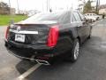 Black Raven - CTS Luxury Sedan AWD Photo No. 5