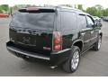 Onyx Black - Yukon Denali AWD Photo No. 5