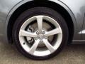 Monsoon Gray Metallic - A3 1.8 Premium Photo No. 7