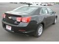 Black Granite Metallic - Malibu LS Photo No. 5