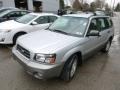 Platinum Silver Metallic - Forester 2.5 XS Photo No. 3