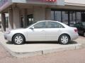 Bright Silver - Sonata GLS Photo No. 10