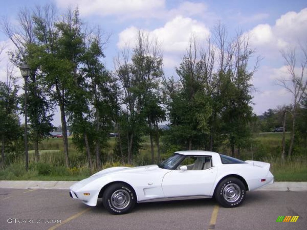 1979 Corvette Coupe - Classic White / Oyster photo #1