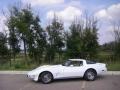 Classic White 1979 Chevrolet Corvette Coupe