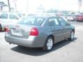 2006 Medium Gray Metallic Chevrolet Malibu LT V6 Sedan  photo #29