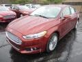 2014 Sunset Ford Fusion Titanium  photo #5