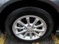 Graphite Gray Pearl - Lancer ES Photo No. 18
