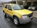 2001 Chrome Yellow Metallic Ford Escape XLT V6 4WD  photo #2