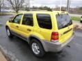 2001 Chrome Yellow Metallic Ford Escape XLT V6 4WD  photo #6