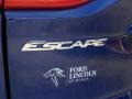 2013 Deep Impact Blue Metallic Ford Escape Titanium 2.0L EcoBoost 4WD  photo #9