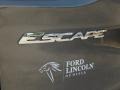 2014 Sterling Gray Ford Escape SE 2.0L EcoBoost  photo #9