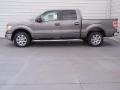 2014 Sterling Grey Ford F150 XLT SuperCrew  photo #6