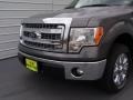 2014 Sterling Grey Ford F150 XLT SuperCrew  photo #11