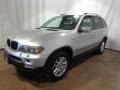Titanium Silver Metallic - X5 3.0i Photo No. 4