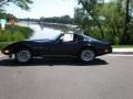 Black - Corvette T-Top Photo No. 3