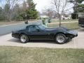 Black - Corvette T-Top Photo No. 6