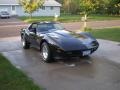Black - Corvette T-Top Photo No. 7