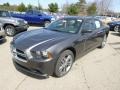 2014 Granite Crystal Metallic Dodge Charger SXT Plus AWD  photo #2