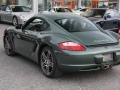 Malachite Green Metallic - Cayman S Photo No. 8