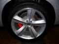 Bright Silver Metallic - Challenger SRT8 Photo No. 11